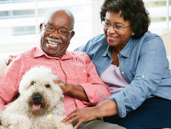 Seniors With Pets Can Boost their health In Home Care Agency